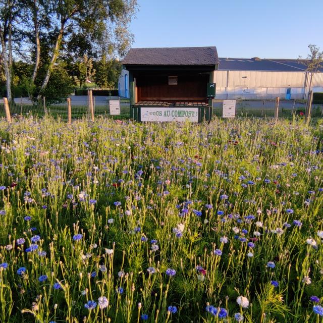 Juvigné - prix village fleuri