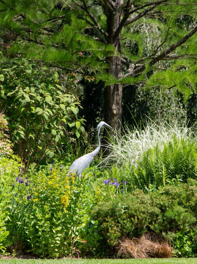 Les Jardins des Renaudies