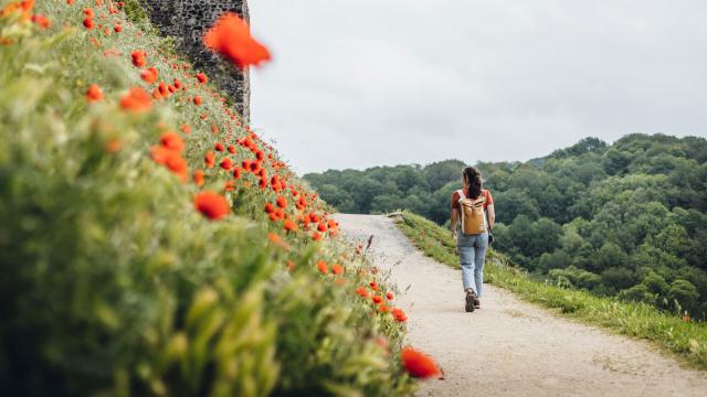 Promenade De La Poterne à Sainte Suzanne ©mathieu Lassalle French Wanderers (3)