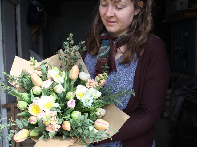 La Tige Locale Châtillon sur Colmont. Fleurs cultivées dans le nord-Mayenne