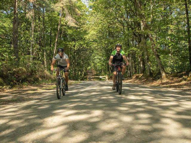 Vtt Bois De L Huisserie (2)