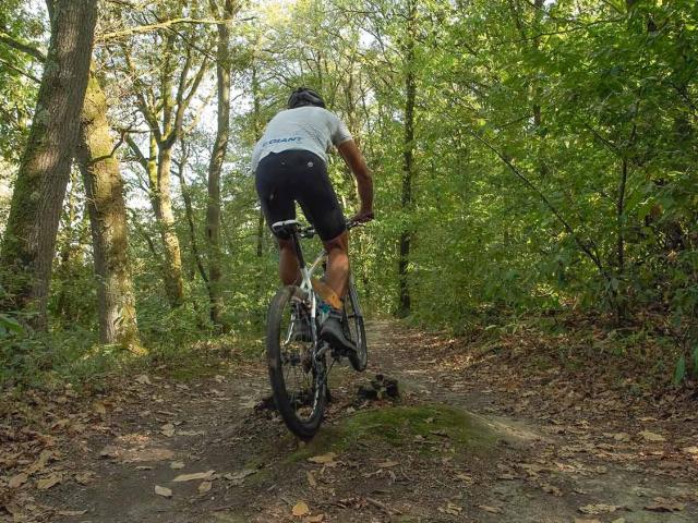 Vtt Bois De L Huisserie (3)