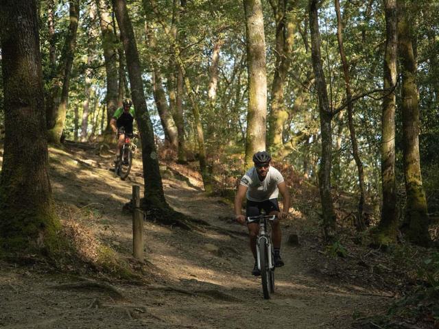 Vtt Bois De L Huisserie (5)