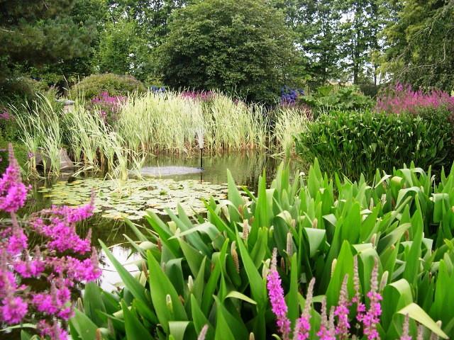 Bassin - jardins des Renaudies