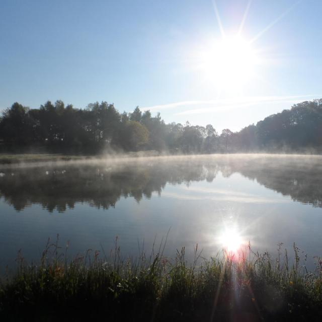 Fougerolles Du Plessis