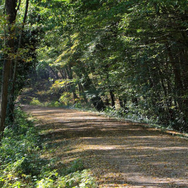 Voie verte en Mayenne