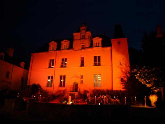 Nuit Des Musées Chateau Gontier