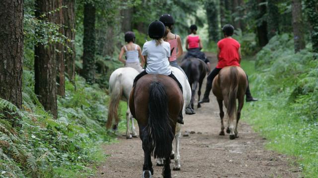 Randonnee A Cheval Cp Mayenne Tourisme 1920px