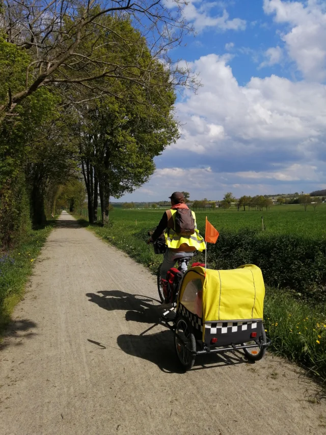 Cycliste tractant une carriole sur la voie verte près d'un champ.