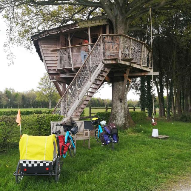 Vélos carriole au pied d'une cabane dans les arbres