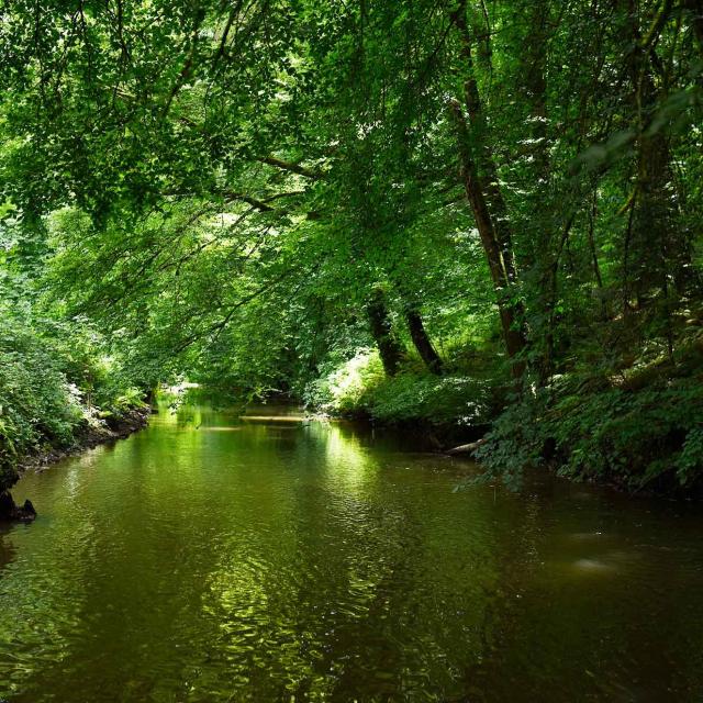 Vallee De L'ernee A Chailland