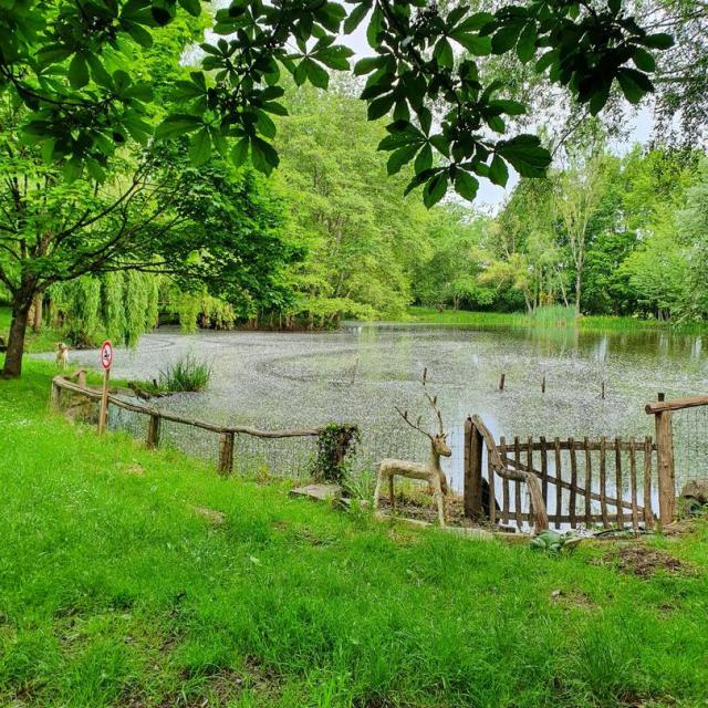 Etang Camping à La Ferme La Viotterie