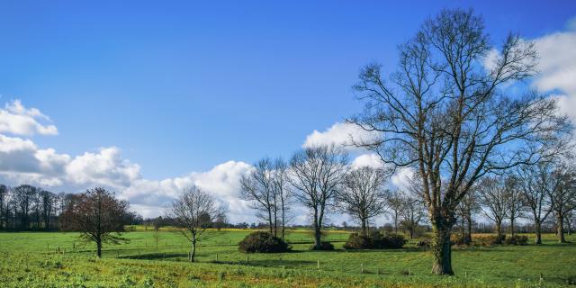 Paysage Hiver