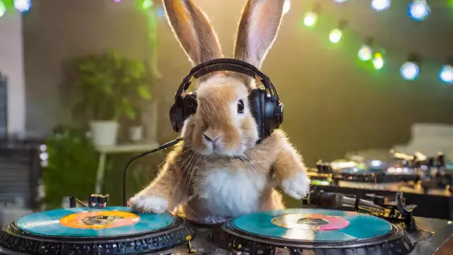 Image générée par intelligence artificielle, on y voit un lapin derrière des platines de DJ, il porte des écouteurs et semble mixer.