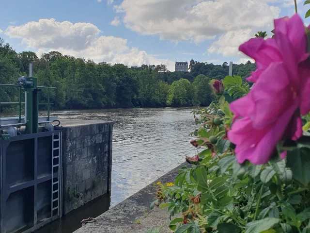 Vue de l'écluse de la Benâtre et de la rivière la Mayenne. Au premier plan on voit une rose. A l'arrière plan, on distingue le château de la Roche qui domine toute la vallée verdoyante.