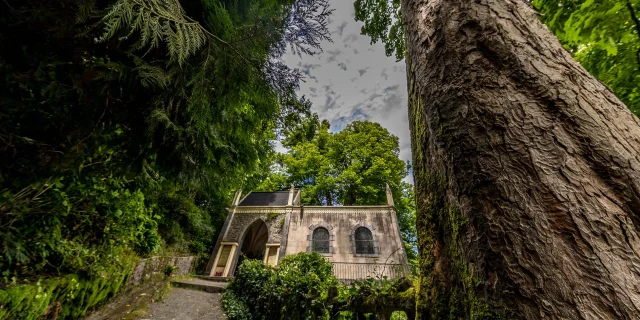 Vue de l'oratoire Saint-Cénéré. Au premier plan on voit un beau tronc d'arbre