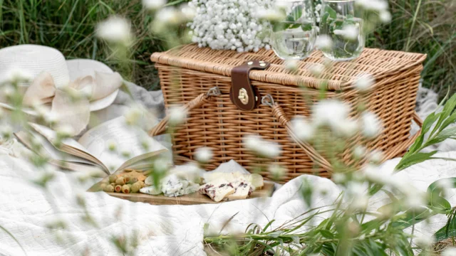 un panier de pique-nique posé sur l'herbe