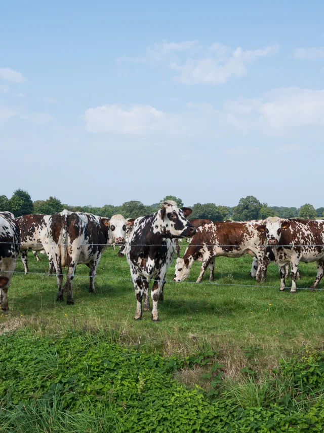 La Mad Jacques Velo En Mayenne Mayenne Tourisme 132