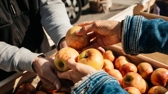 Gros plan sur un étal de marché. On voit les mains d'un vendeur qui remet des pommes dans les mains d'un acheteur.