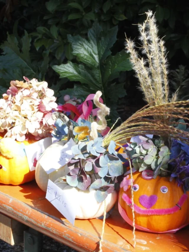 Citrouilles décorées